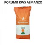 SEMINTE PORUMB KWS ALMANZO 50M